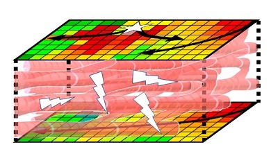 Epicardial and Endocardial mapping