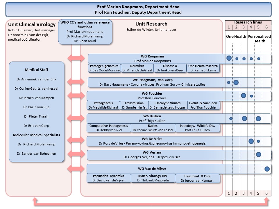 Organogram 2024