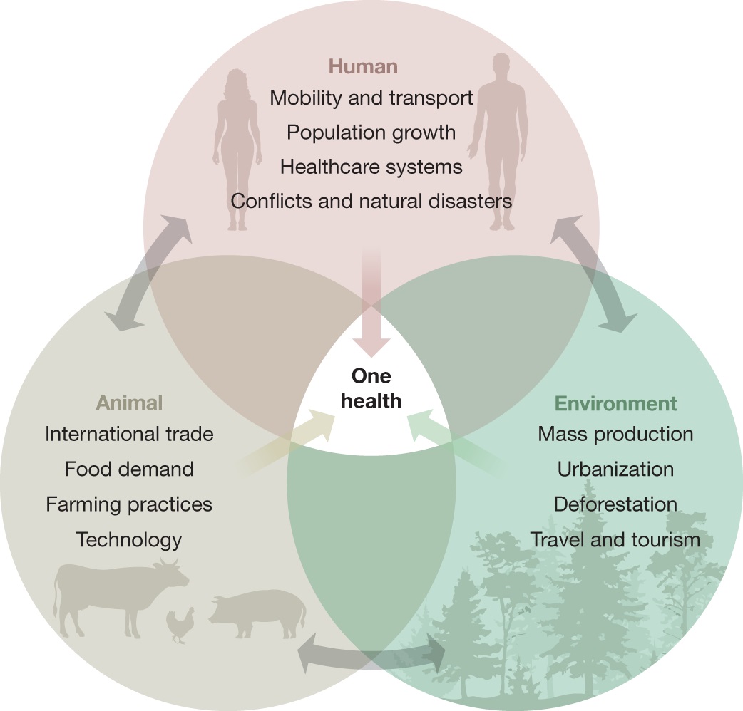 diagram a new twenty-first century science